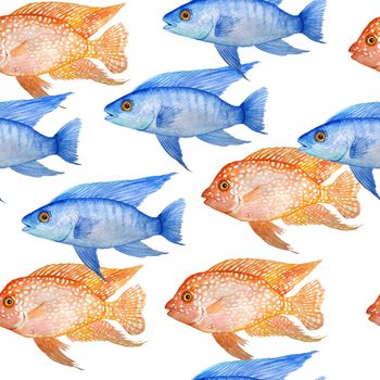 Watercolor hand drawn seamless pattern illustration of red texas and electric blue cichlid fresh water fish. Acquarium fish tank animal pet. Tropical aquascaping underwater hybrid cichlid. Exotic environment cute design