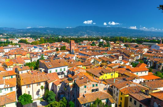 Aerial top panoramic view of historical centre medieval town Lucca with old buildings, typical orange terracotta tiled roofs and mountain range, hills, blue sky white clouds background, Tuscany, Italy