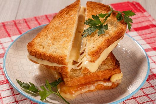 Toasted slices of bread with cheese and green parsley on white plate with red kitchen napkin. Good food for breakfast