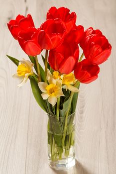 Bouquet of red tulips and yellow daffodils in glass vase on grey wooden desk