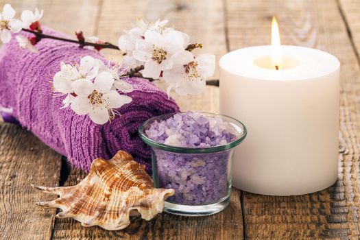 Sea salt in glass bowl with towel for bathroom procedures, sea shell and burning candle with flowering branch of apricot tree on the background. Spa products and accessories