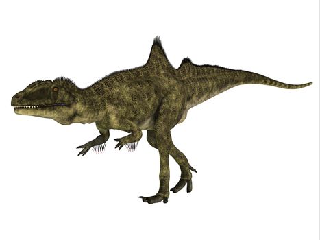 Concavenator was a carnivorous theropod dinosaur that lived in Spain during the Cretaceous Period.