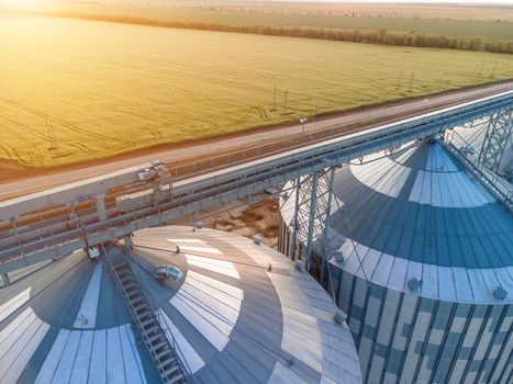 Grain elevator. Metal grain elevator in agricultural zone. Agriculture storage for harvest. Grain silos on green nature background. Exterior of agricultural factory