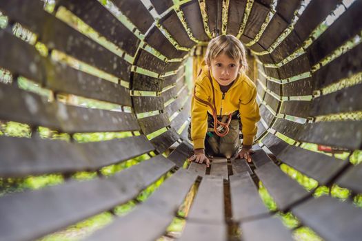 Little boy in a rope park. Active physical recreation of the child in the fresh air in the park. Training for children.