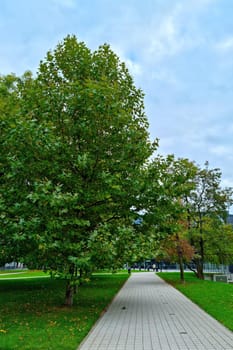 View of the footpath in a green young park in the city