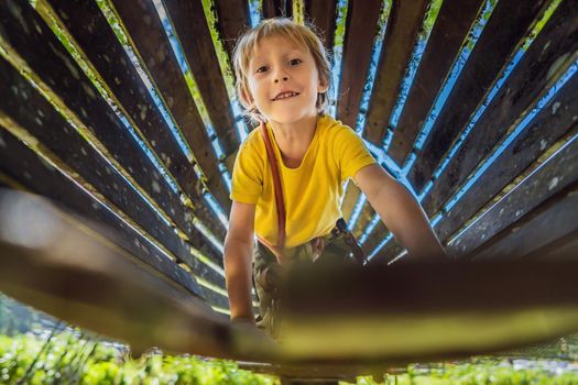 Little boy in a rope park. Active physical recreation of the child in the fresh air in the park. Training for children.