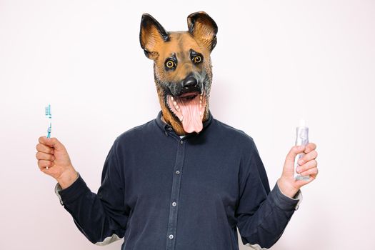 person with a dog mask showing toothbrush and toothpaste on white background, concept of dental care and hygiene for pets