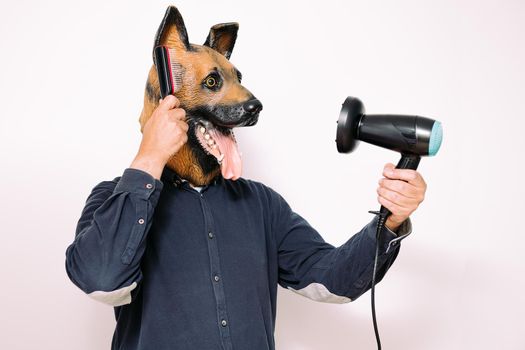 person with a dog mask combs his hair with a hairbrush and a hair dryer on white background, concept of hairdressing and grooming of pets
