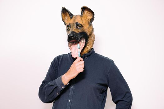 person with a dog mask using a toothbrush to clean teeth on white background, concept of dental care and hygiene for pets