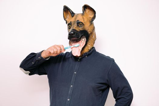 person with a dog mask brushing his teeth with a toothbrush on white background, concept of dental care and hygiene for pets