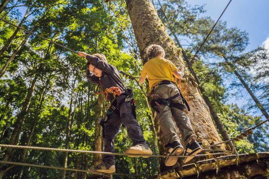 Two little boys in a rope park. Active physical recreation of the child in the fresh air in the park. Training for children.