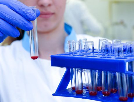 Medical or scientific researcher or doctor looking at a test tube with liquid red solution in a laboratory