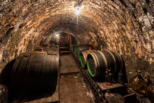 Wine barrels in the cellar, Southern Moravia, Czech Republic