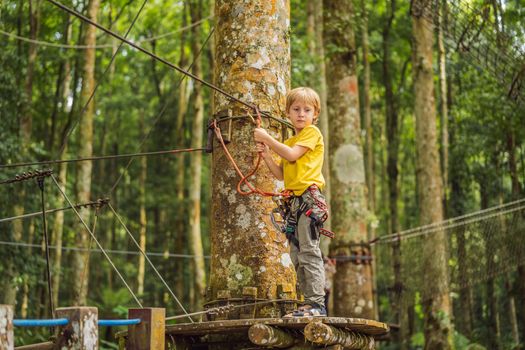 Little boy in a rope park. Active physical recreation of the child in the fresh air in the park. Training for children.