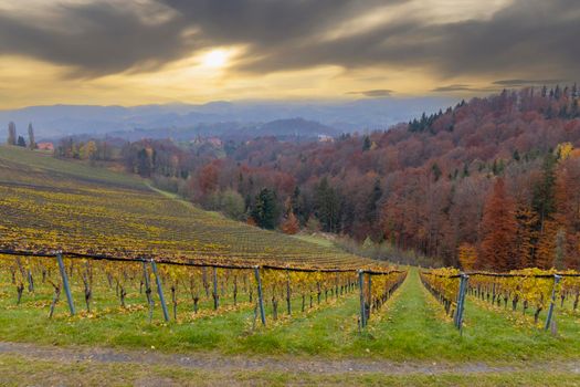 Highest vineyards in Austria near the village Kitzeck im Sausal, Styria, Austria