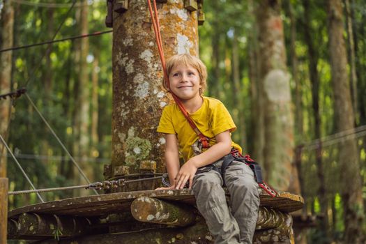 Little boy in a rope park. Active physical recreation of the child in the fresh air in the park. Training for children.