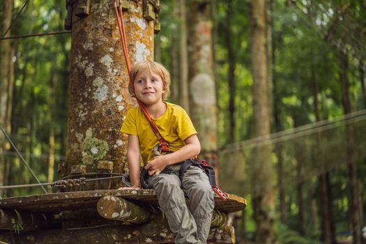 Little boy in a rope park. Active physical recreation of the child in the fresh air in the park. Training for children.