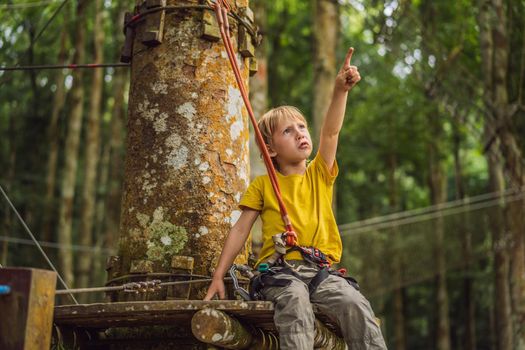 Little boy in a rope park. Active physical recreation of the child in the fresh air in the park. Training for children.