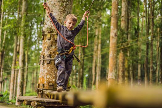 Little boy in a rope park. Active physical recreation of the child in the fresh air in the park. Training for children.