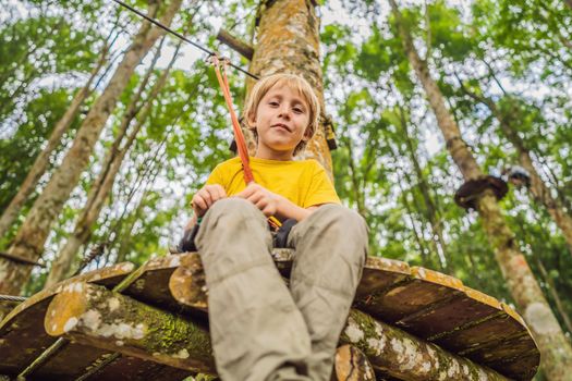 Little boy in a rope park. Active physical recreation of the child in the fresh air in the park. Training for children.