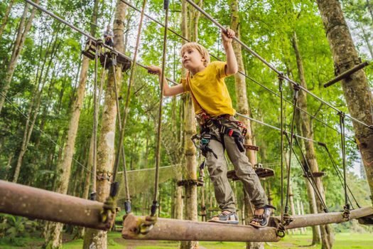 Little boy in a rope park. Active physical recreation of the child in the fresh air in the park. Training for children.