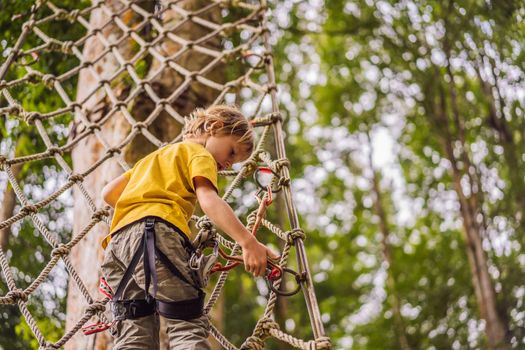 Little boy in a rope park. Active physical recreation of the child in the fresh air in the park. Training for children.