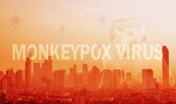 Monkeypox outbreak concept. Monkeypox is caused by monkeypox virus. Monkeypox outbreak prevention, management, and control of the city concept. Cityscape, monkey, and monkeypox virus background.