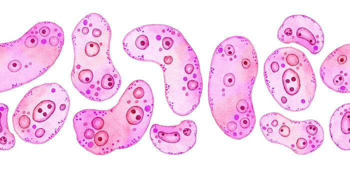 Watercolor horizontal seamless border of pink purple cells microalgae microorganisms, microscope bio algae. Concept for cosmetics medicine healthcare print design. Pastel ameoba bacteria, soft oval round shape