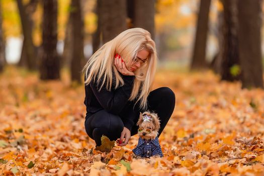 girl with a Yorkshire terrier dog in the autumn park