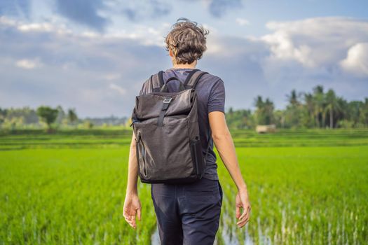 Male tourist with a backpack goes on the rice field.