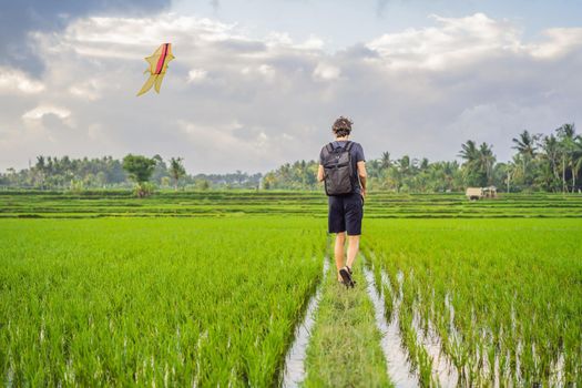Man launch a kite in a rice field in Ubud, Bali Island, Indonesia.