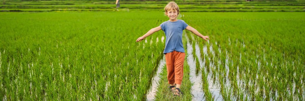 Tourist boy walks in a rice field. Traveling with children concept. Kids friendly place. BANNER, LONG FORMAT