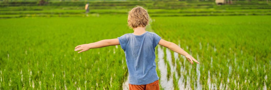 Tourist boy walks in a rice field. Traveling with children concept. Kids friendly place. BANNER, LONG FORMAT