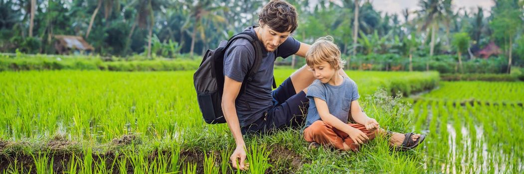Education of children on nature. Dad and son are sitting in a rice field and watching nature. BANNER, LONG FORMAT