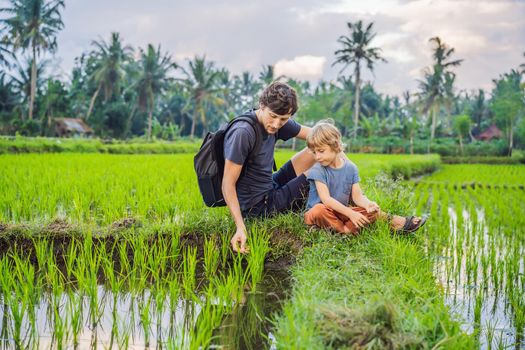 Education of children on nature. Dad and son are sitting in a rice field and watching nature.