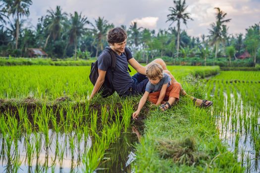 Education of children on nature. Dad and son are sitting in a rice field and watching nature.