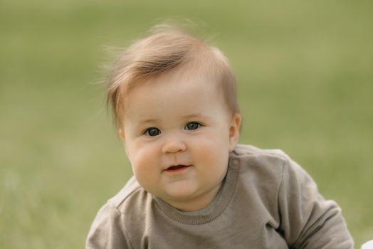 A close portrait of a smiling 7-month child who is playing in the meadow. An infant girl is crawling on the grass.