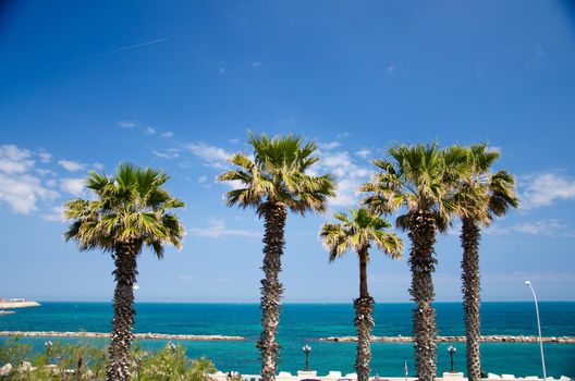 Embankment promenade Imperatore Augusto with palm trees and view of Adriatic sea in the city of Bari, Puglia Apulia region, Southern Italy