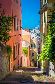 Stairway between multicolored buildings with colorful walls and green plants on narrow street in old quarter of historical centre of european city Genoa Genova , Liguria, Italy