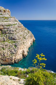 View of Cliffs and Maltese mediterranean seacoast near the Blue Grotto area with steep rocks and clear blue water from Blue Wall and Grotto Viewpoint, Malta