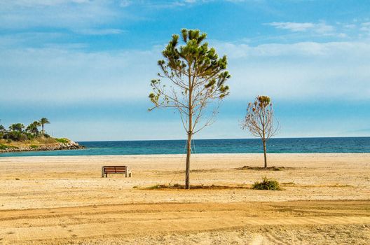 Sandy beach with trees and bench on the shore of Saronic Gulf in Athens, Greece