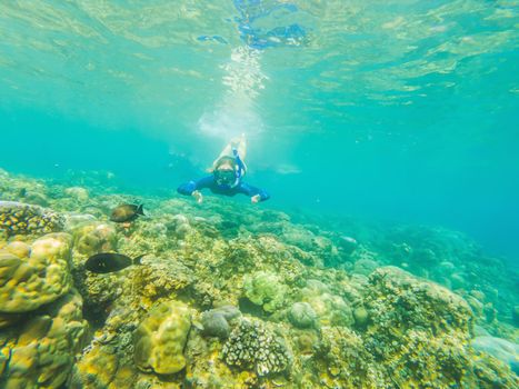 Happy woman in snorkeling mask dive underwater with tropical fishes in coral reef sea pool. Travel lifestyle, water sport outdoor adventure, swimming lessons on summer beach holiday.