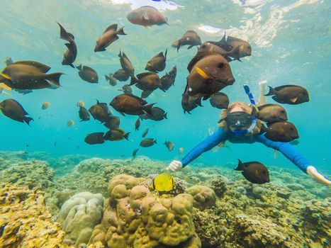 Happy woman in snorkeling mask dive underwater with tropical fishes in coral reef sea pool. Travel lifestyle, water sport outdoor adventure, swimming lessons on summer beach holiday.