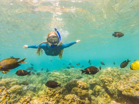 Happy woman in snorkeling mask dive underwater with tropical fishes in coral reef sea pool. Travel lifestyle, water sport outdoor adventure, swimming lessons on summer beach holiday.