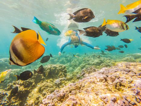 Happy woman in snorkeling mask dive underwater with tropical fishes in coral reef sea pool. Travel lifestyle, water sport outdoor adventure, swimming lessons on summer beach holiday.
