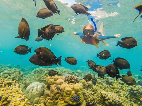 Happy woman in snorkeling mask dive underwater with tropical fishes in coral reef sea pool. Travel lifestyle, water sport outdoor adventure, swimming lessons on summer beach holiday.