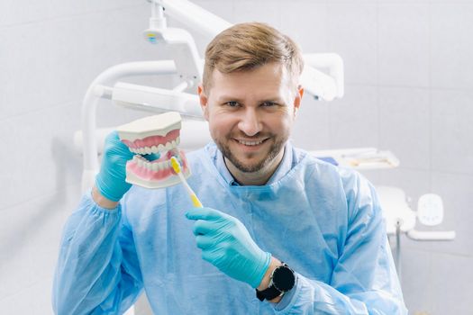 A model of a human jaw with teeth and a toothbrush in the dentist's hand.