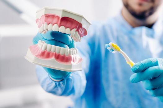 A model of a human jaw with teeth and a toothbrush in the dentist's hand.