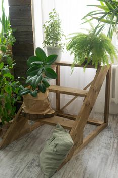 A fragment of the interior with a variety of indoor plants and plaster sculptures. Urban jungle concept. Biophilia design