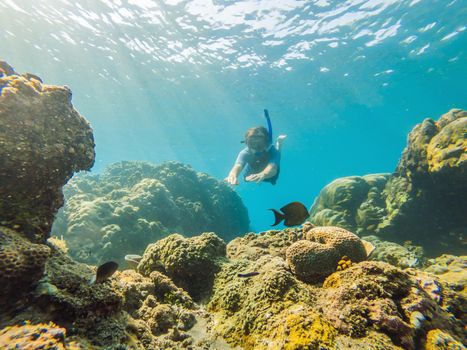 Happy man in snorkeling mask dive underwater with tropical fishes in coral reef sea pool. Travel lifestyle, water sport outdoor adventure, swimming lessons on summer beach holiday. Aerial view from the drone.